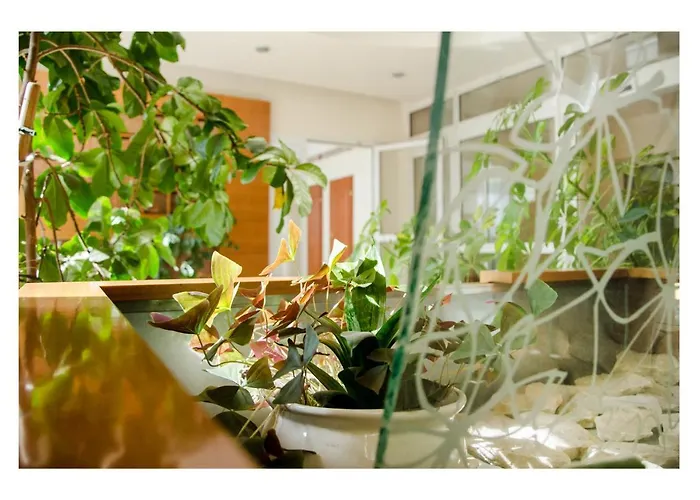 Promenada 2* Ostróda